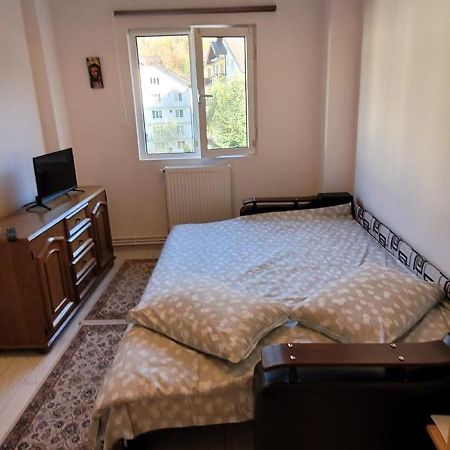 Patricia Apartment Sinaia Exterior photo
